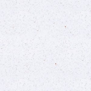 Brilliant White