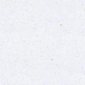 Brilliant White