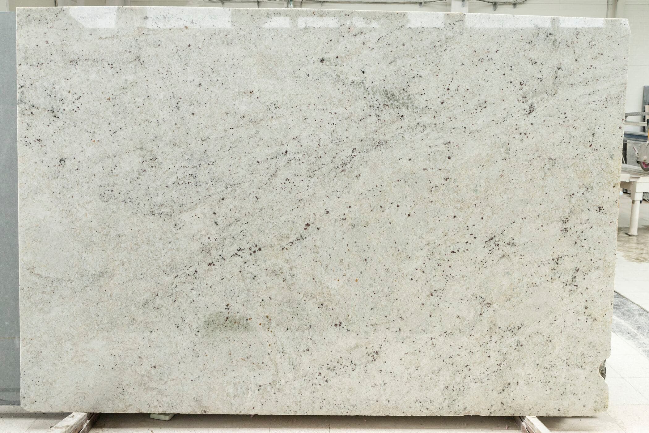 Colonial White - Studio Impala