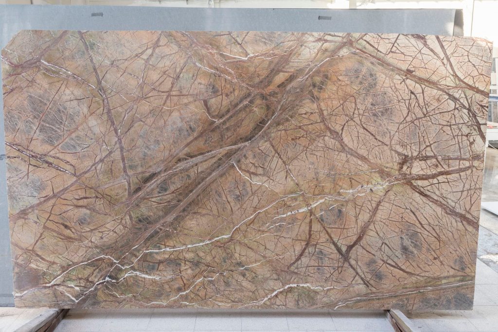 Rain Forest Brown