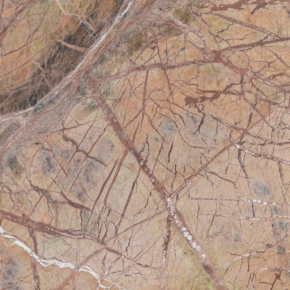 Rain Forest Brown 50x50cm