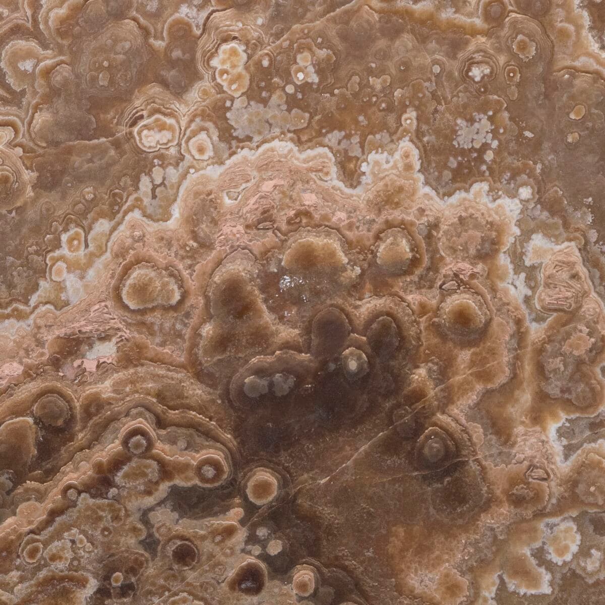 Onyx Brown 50x50cm