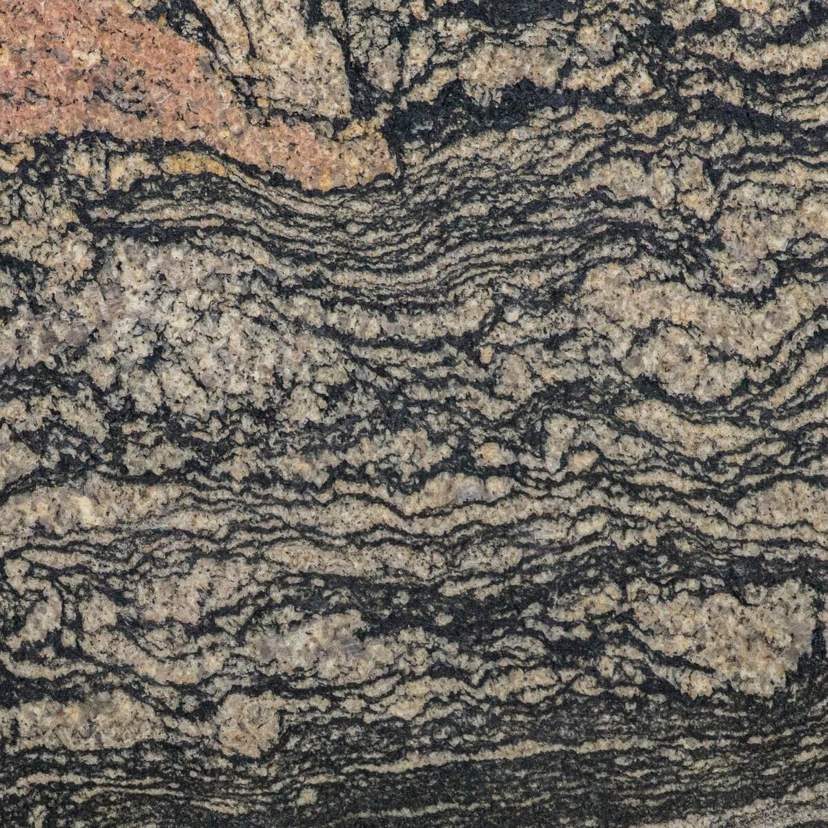 GOLD & BLACK 50x50cm