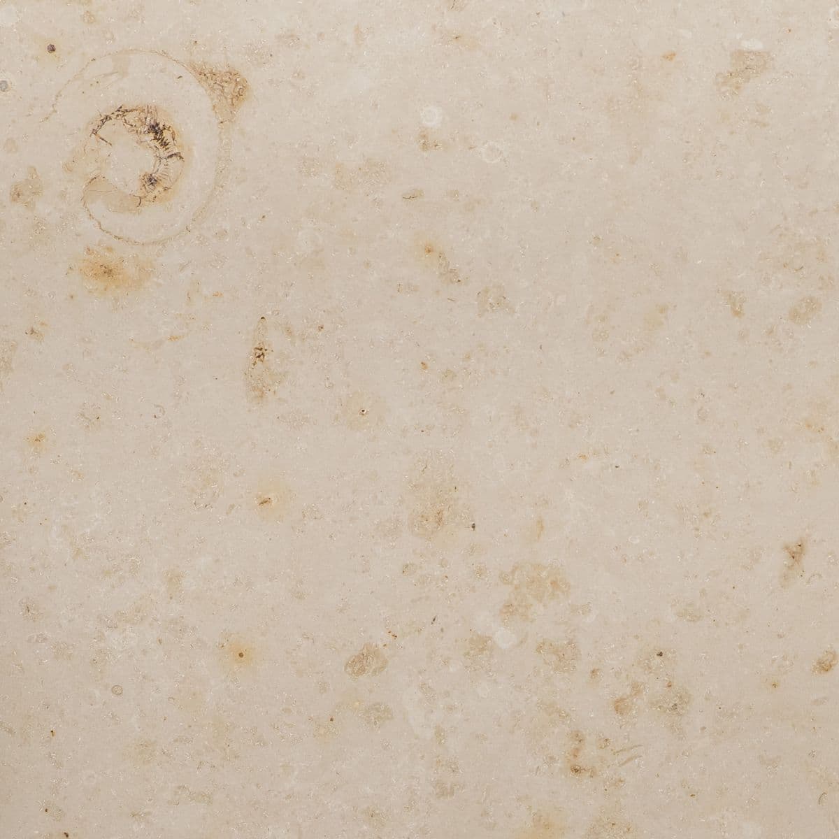 Jura Beige 50x50cm