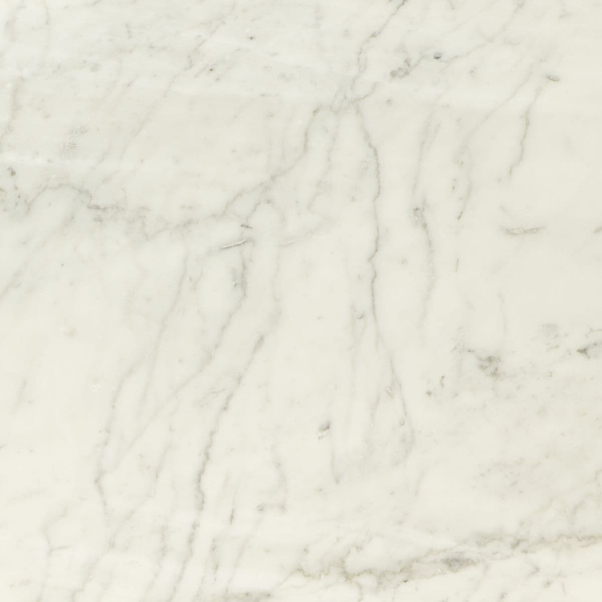 Bianco Carrara 50x50cm