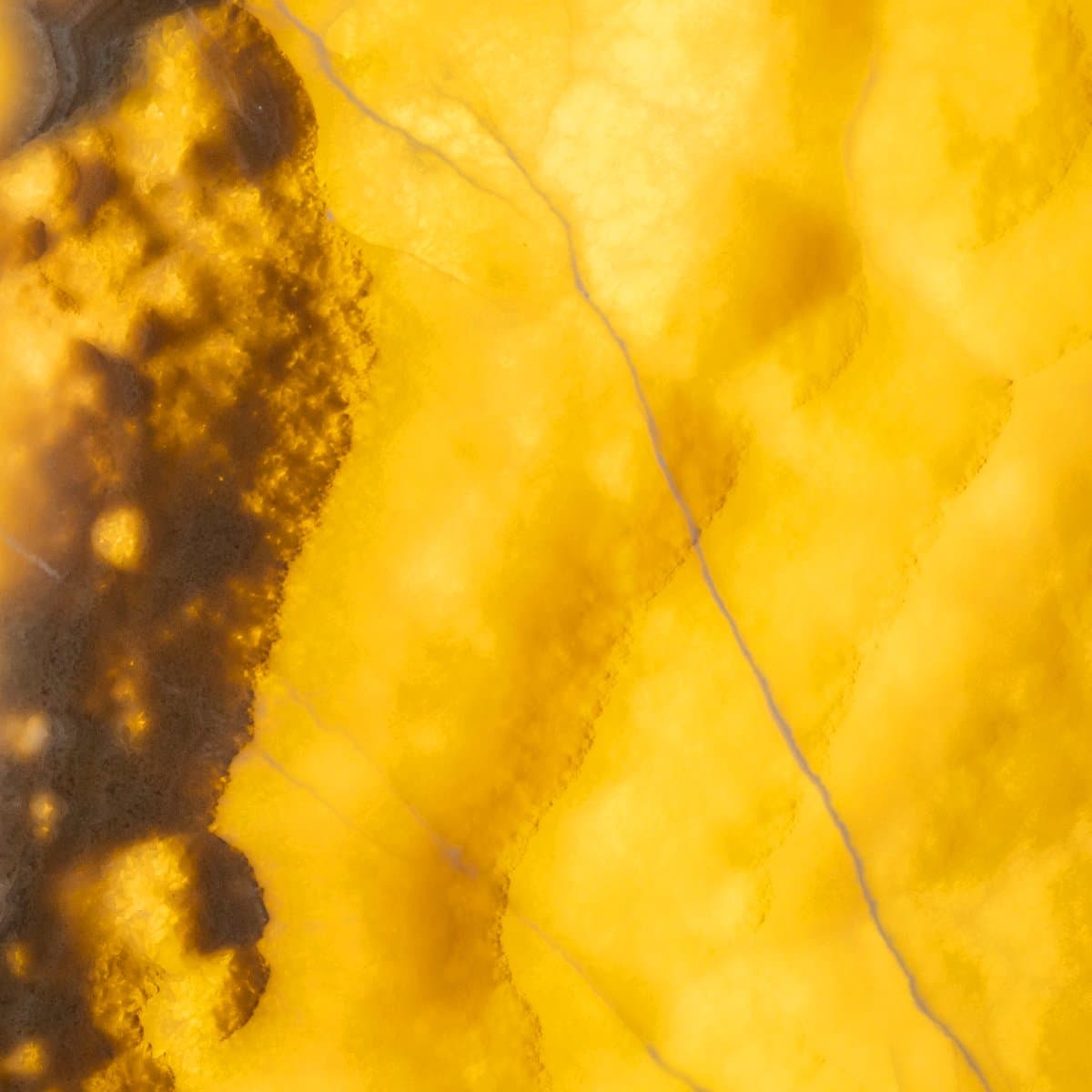 Yellow Supreme2 50x50cm