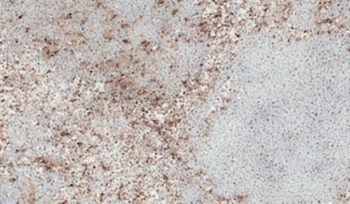 Caesarstone